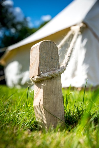 Wooden tent pegs super - tent,
